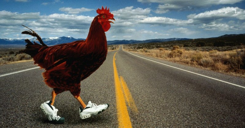 Best chicken road online in Spain